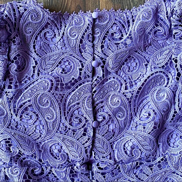 Anthropologie Maeve 🆕✨HP✨ |🎄Bell Sleeve Embroidered Lace Mini Dress. - Picture 6 of 9